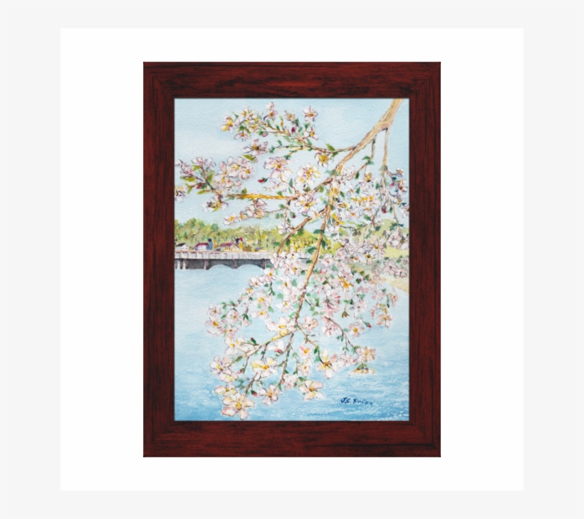 Washington Dc Cherry Blossoms Watercolor Painting Gallery - Watercolor Painting, transparent png download