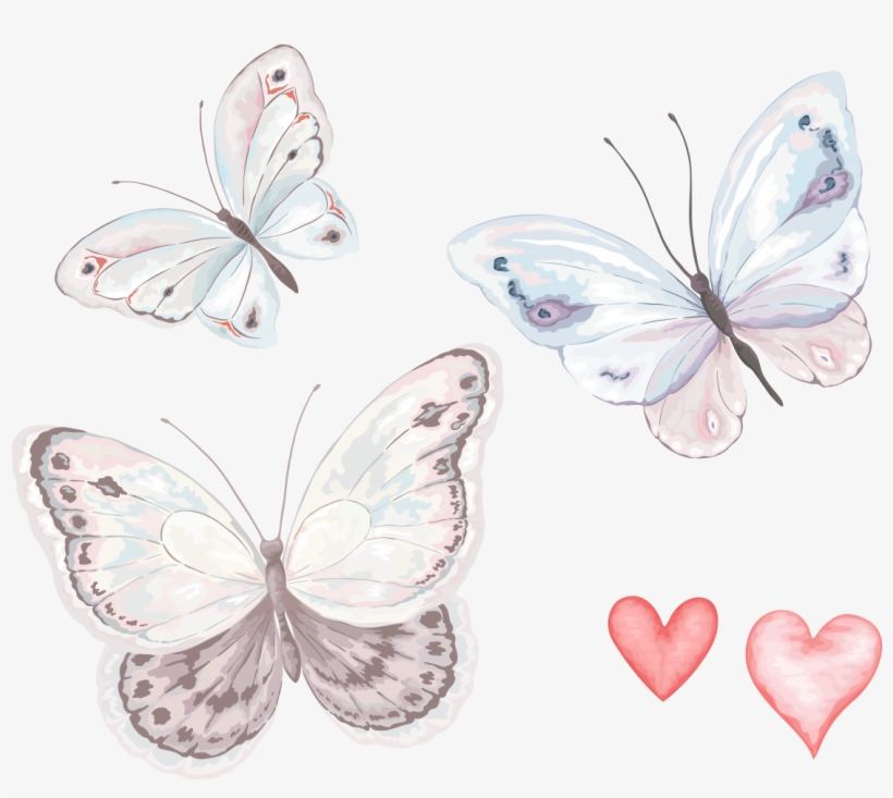 Visit - Transparent Watercolor Butterfly Png, transparent png download