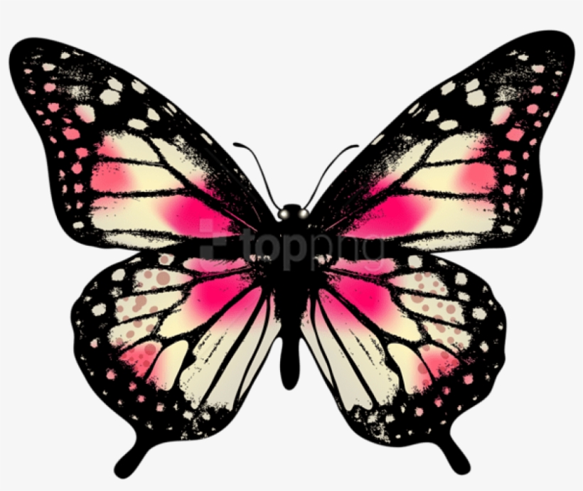 Large Pink Butterfly Png Clip Art Image - Pink Butterfly, transparent png download