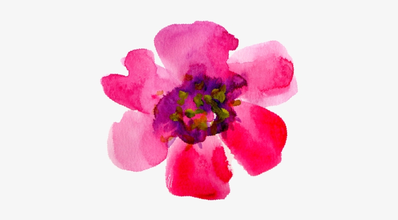 Do You Struggle With Nagging Cravings That Sabotage - Artificial Flower, transparent png download