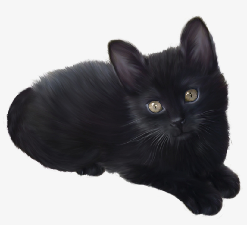 Black Kitten Png Clipart - Black Kitten Clip Art, transparent png download