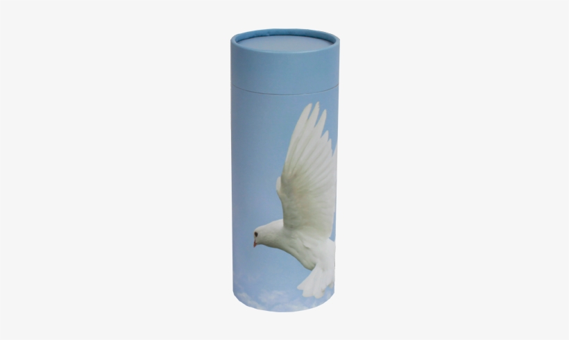 Asm Scattering Tube Ascending Dove, transparent png download