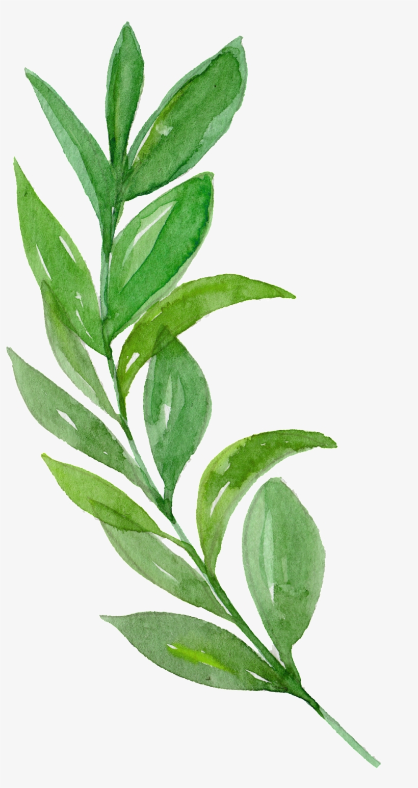 Watercolor Branches Free Texture Png - Rustikaler Erntedank Verlässt Stoff-servietten Serviette, transparent png download