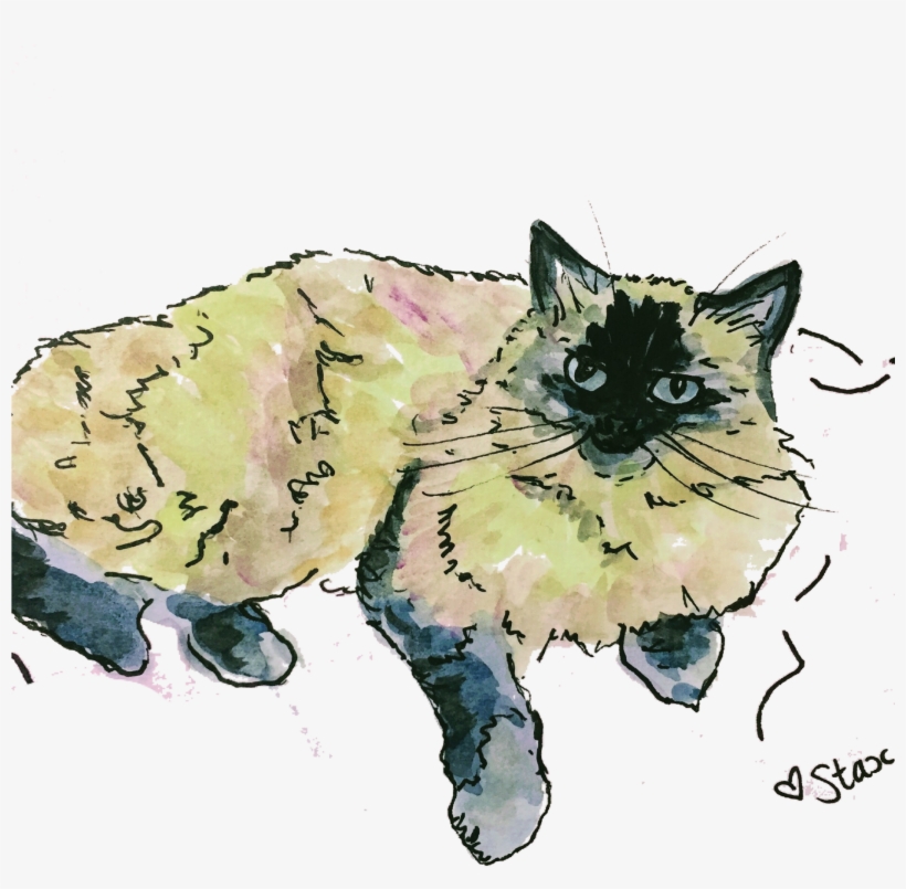 Custom Pet Portrait - Balinese, transparent png download