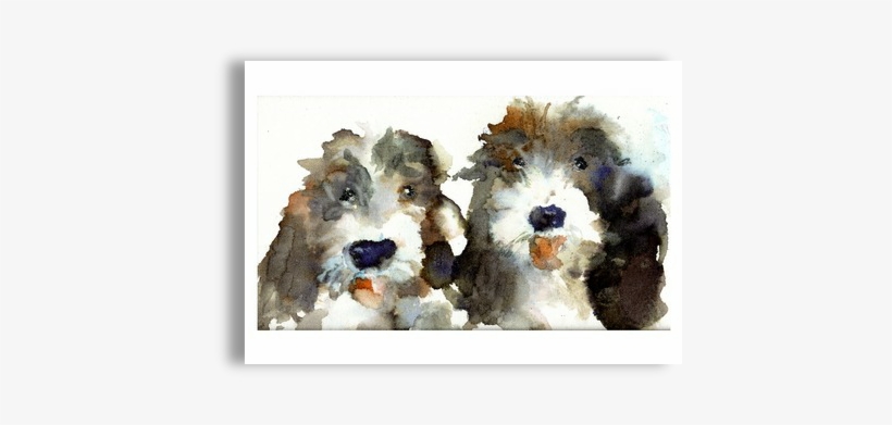 Fluffy Dogs Options - Dog, transparent png download