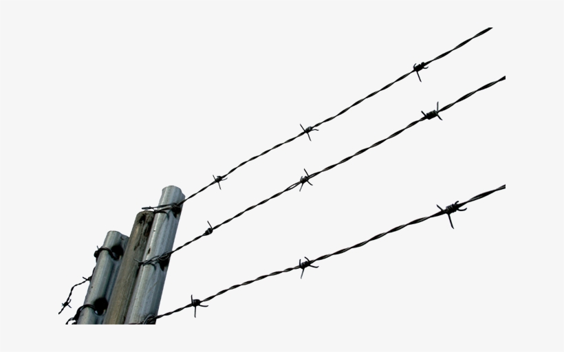 Barbed Chain Link Fencing Clip Art Transprent - Barb Wire Fence Png, transparent png download