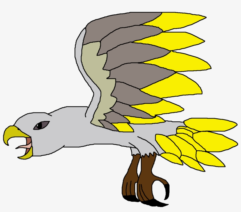 Haast's Eagle, transparent png download