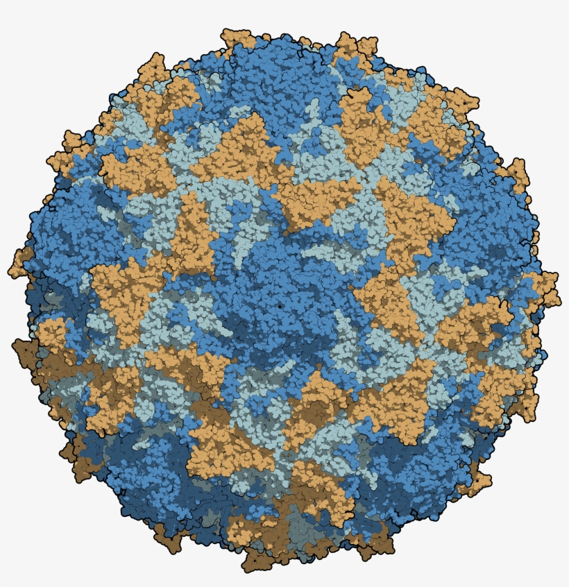 Serene Polio 3 Picture Art Serene Polio 3 Picture Art