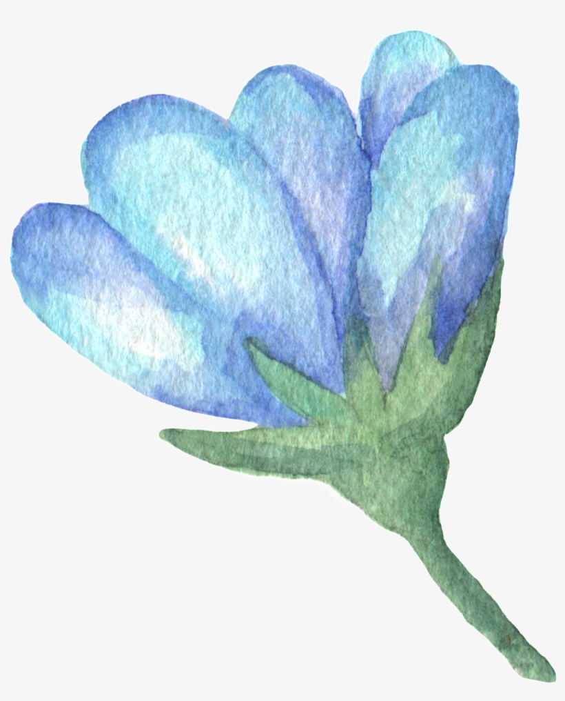 Hand Painted Blue Flower Watercolor Transparent - Red Clover, transparent png download
