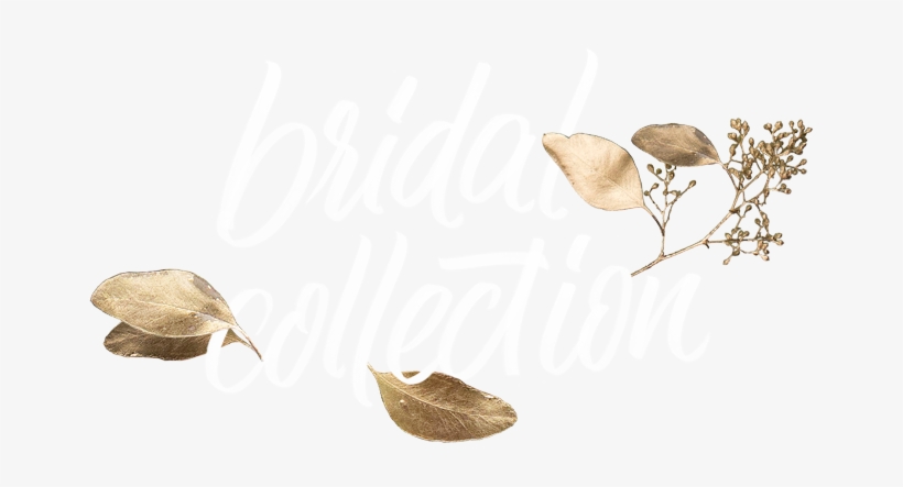Midsummer Aufmacher Transparent-small - Calligraphy, transparent png download