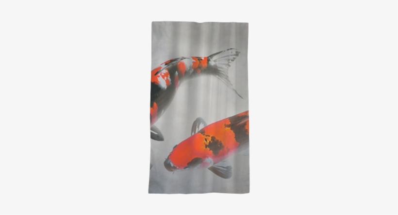 Calico Koi Fish Watercolor Illustration Sheer Window - Pez Koi Rojo Real, transparent png download
