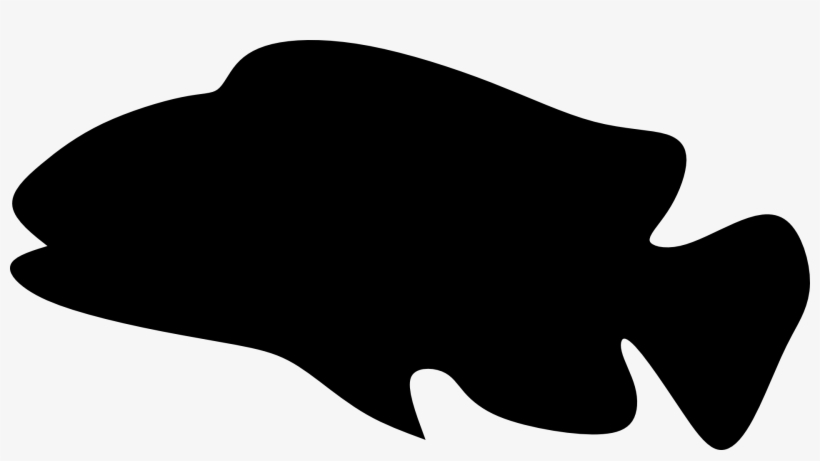 Silhouette Of Aquarium Fish - Stock.xchng, transparent png download