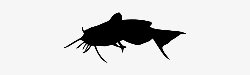 Fish Silhouette Vector - Motte Silhouette, transparent png download