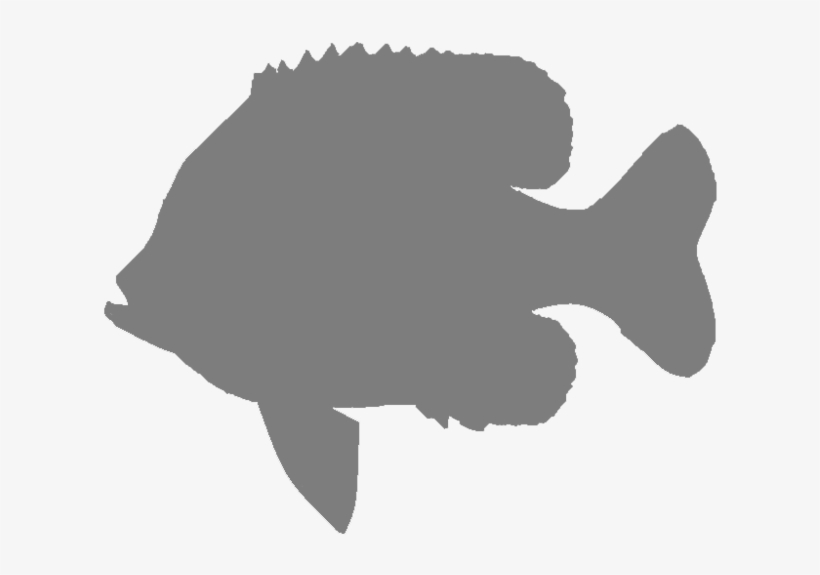 The Mighty Musky - Snapper, transparent png download