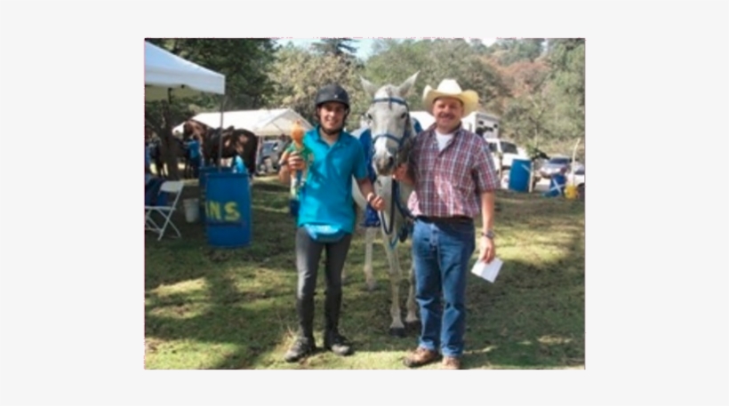 Walking, transparent png download