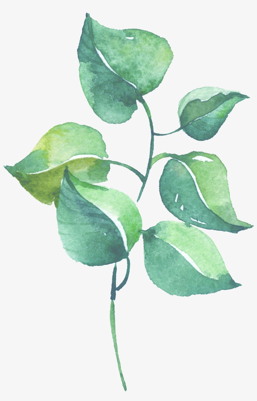 0℃素材15 - Watercolor Painting, transparent png download