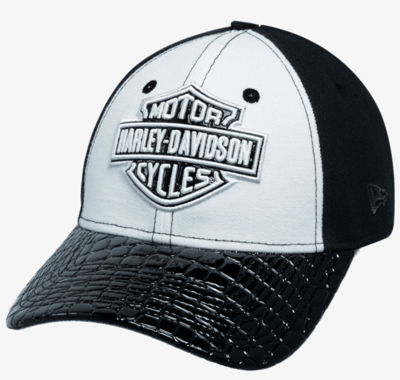 H-d Women's Colorblocked Logo Cap - Harley Davidson, transparent png download