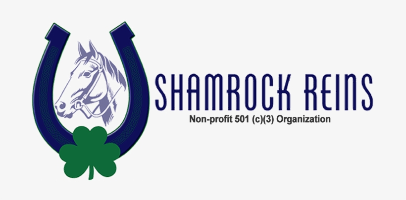 Shamrock Reins - Vision Statement, transparent png download