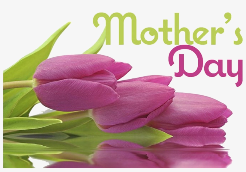 Mother's Day, transparent png download
