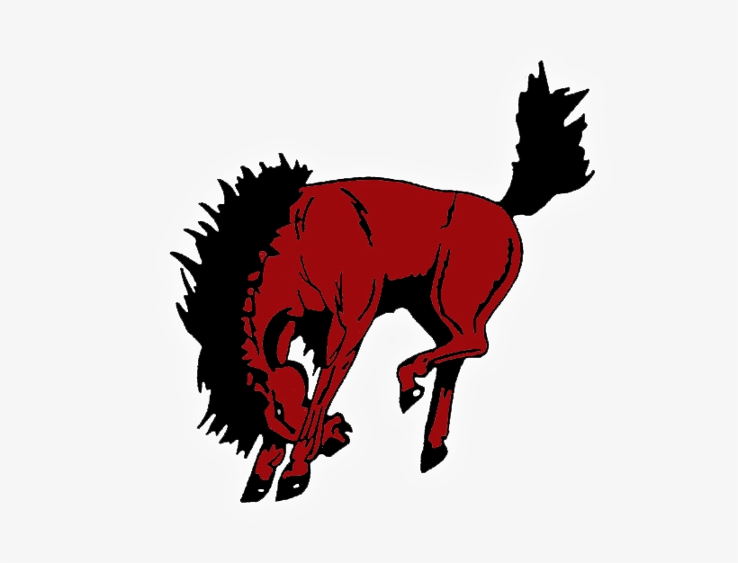 Sonora Bronco Texas, transparent png download