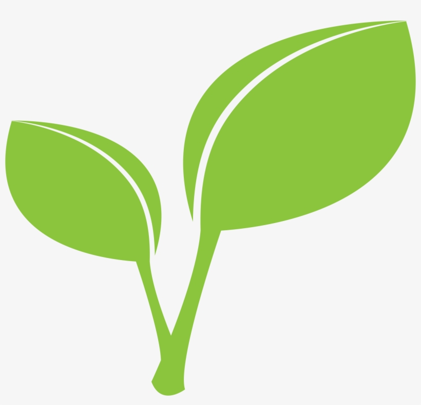 Vector Freeuse Stock Bunch Ideas Of Plant Pencil And - Leaf Clipart Png, transparent png download