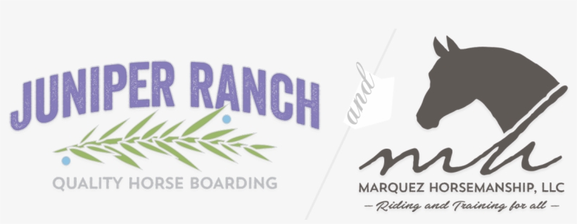 Juniper Ranch And Marquez Horsemanship - Child, transparent png download