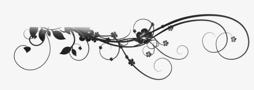 File History - Flower Deco, transparent png download