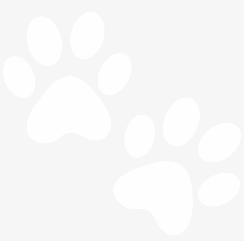 Affiliate Affiliate Affiliate Affiliate Affiliate - Dog, transparent png download