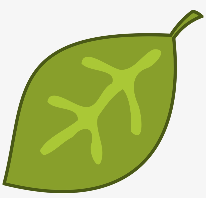 Bay Clip Art - Jungle Leaf Clipart, transparent png download