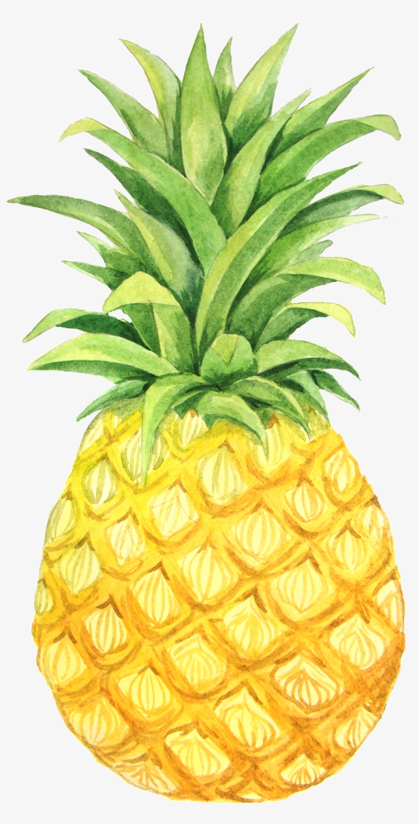 Pintado A Mano De Png Transparente Amarillo Piña - Kavka Designs Be Sweet Orange/ Green/ Yellow 60"x60", transparent png download