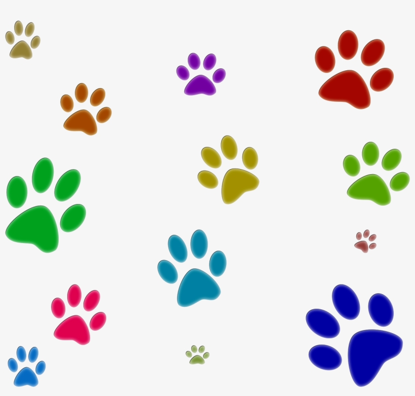 Community Outreach Spread The Love Yogi Bear S Jellystone - Colored Paw Prints Transparent Background, transparent png download