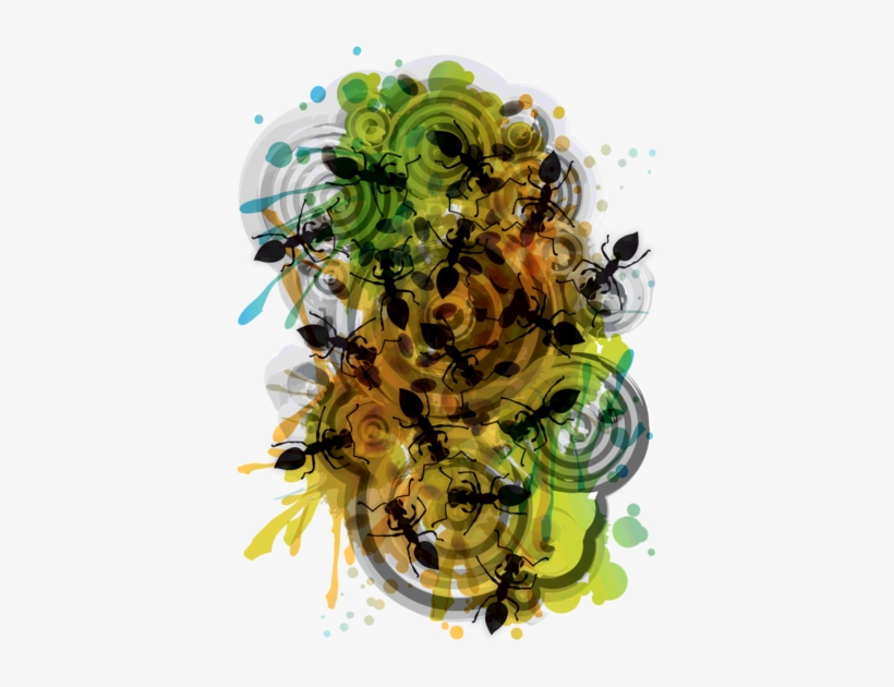 Myrmecophobia - Myrmecophobia Karte, transparent png download