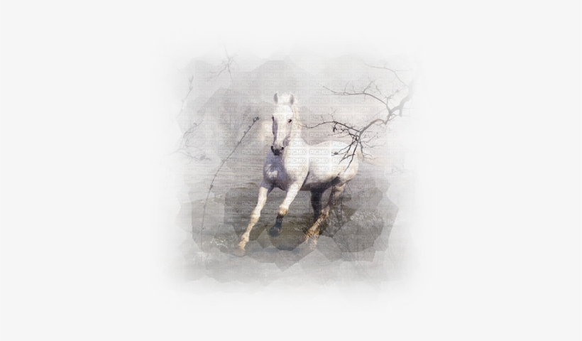 Horse In Winter - Heartland, transparent png download