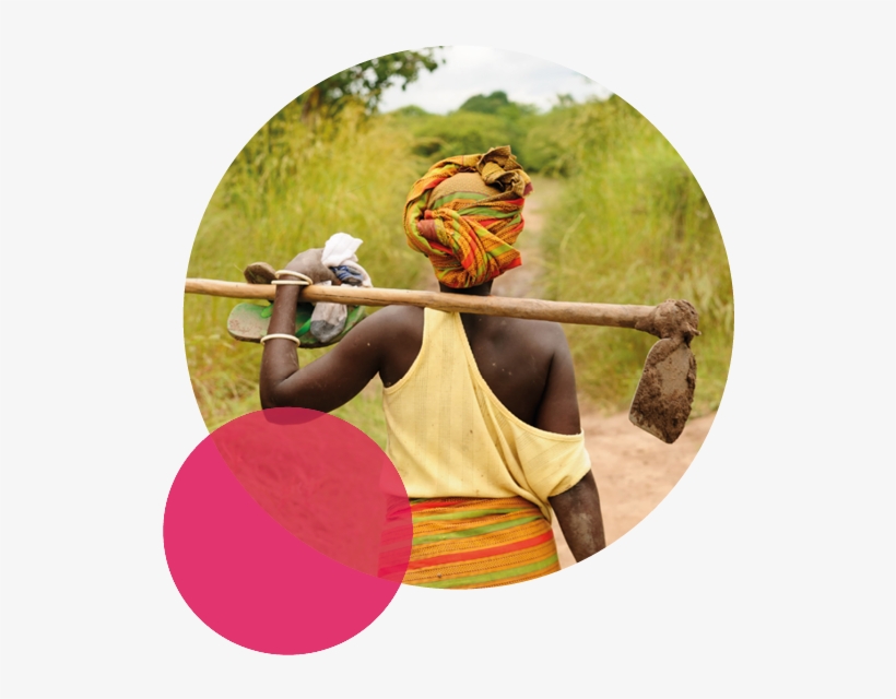 Changes To Smeta And Auditor Accounts With Sedex - Traditional African Hoe, transparent png download