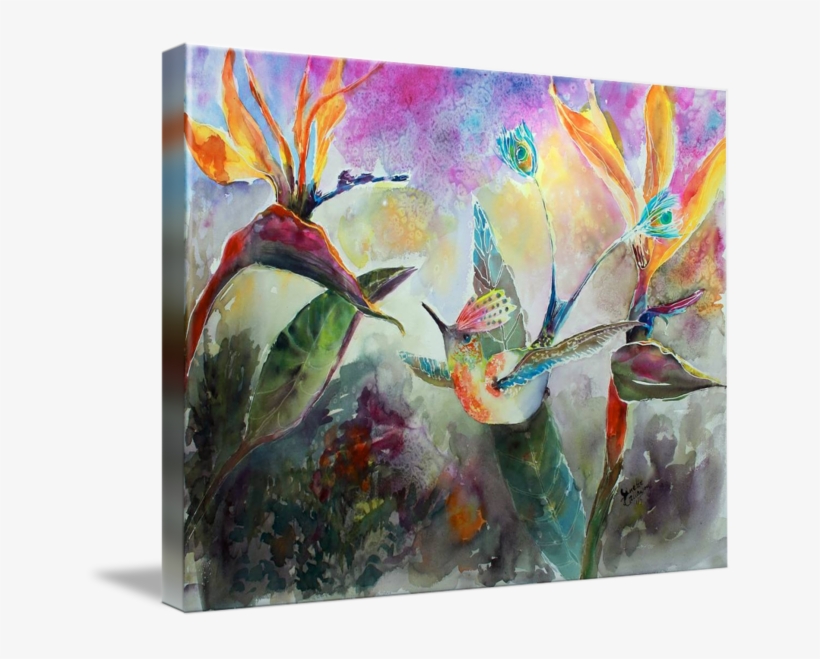 "peacock Tail Hummingbird Watercolor" By Ginette Callaway - Arte Visuales De Animales, transparent png download