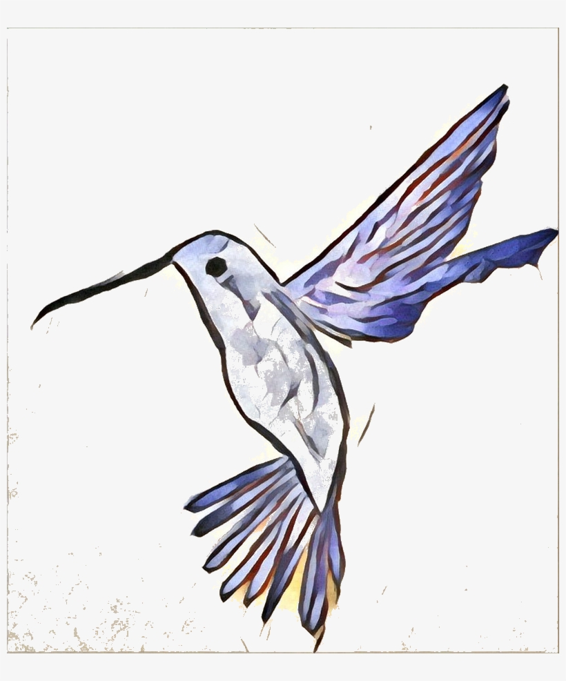 Hummingbird Medicine - Hummingbird, transparent png download