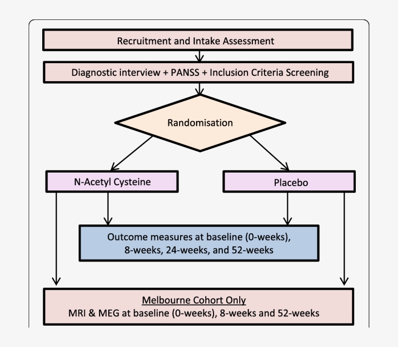 Study Outline - Diagram, transparent png download