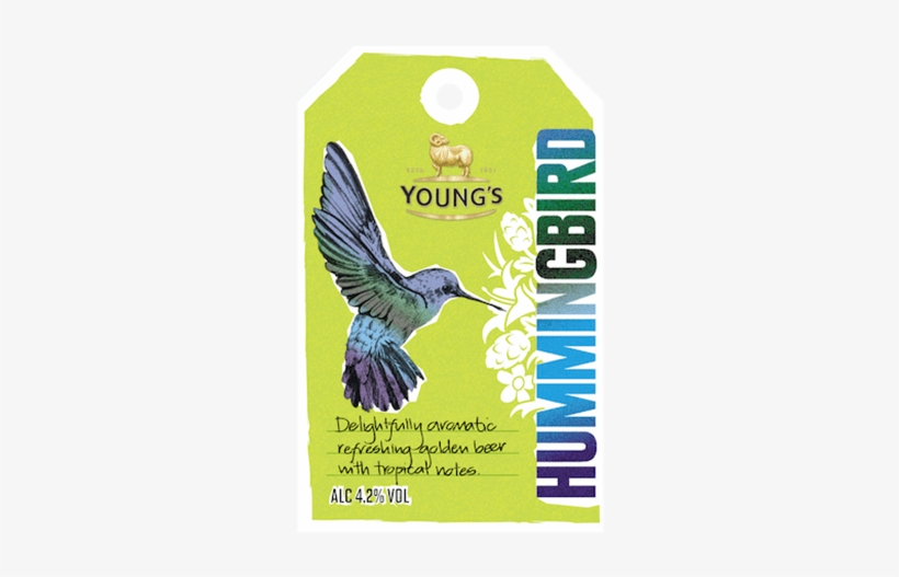 22 Youngs Hummingbird - Youngs Hummingbird, transparent png download