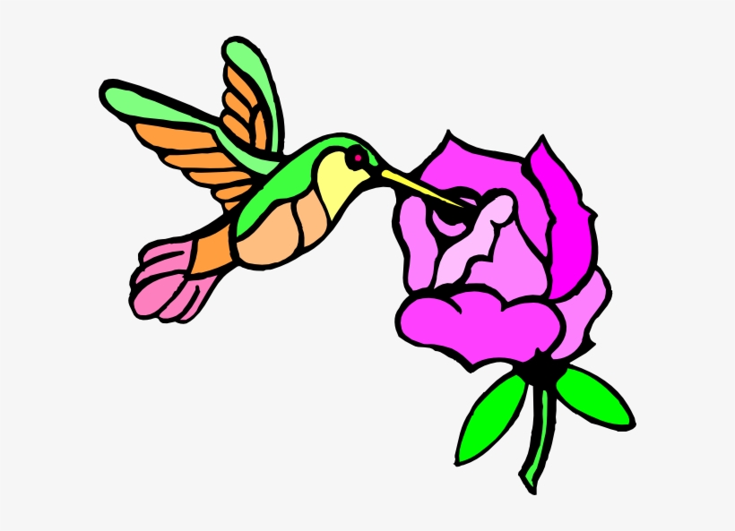 Hummingbird Clipart Hummingbird Flower - Hummingbird And Flower Shower Curtain, transparent png download