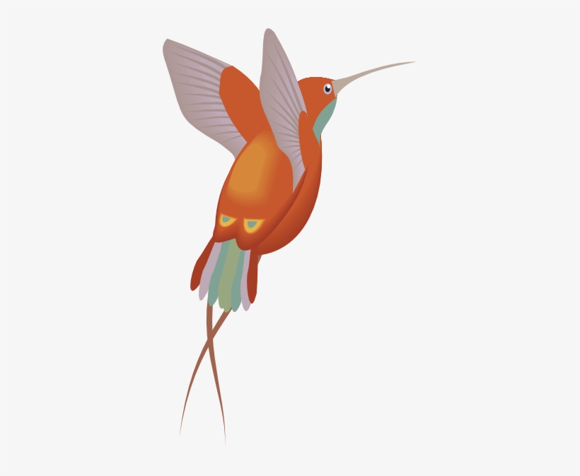 Hummingbird Free To Use Cliparts - Hummingbird, transparent png download