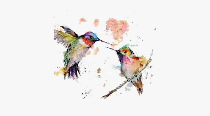 Acuarela - Hummingbird Watercolor, transparent png download