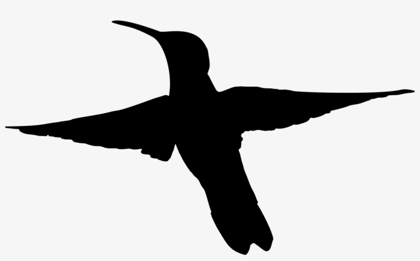 Medium Image - Hummingbird Silhouette Png, transparent png download