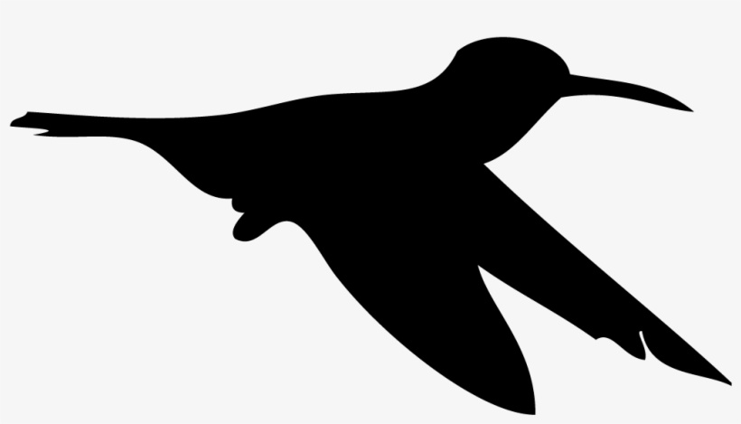 Silhouette Hummingbird - All About Birds, transparent png download