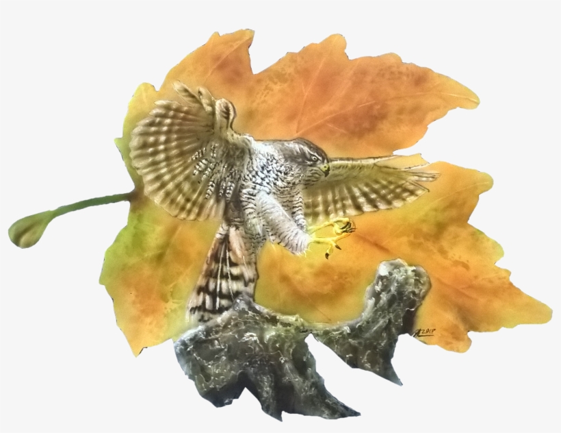 Final - Ruffed Grouse, transparent png download
