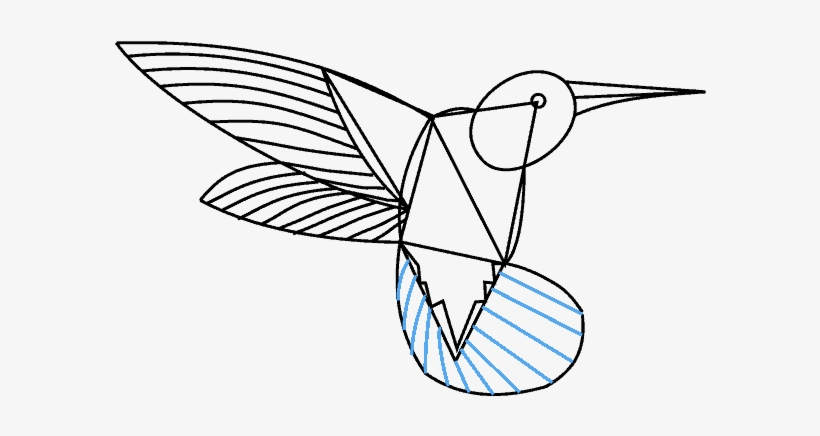 How To Draw A Hummingbird - Hummingbird Drawing, transparent png download