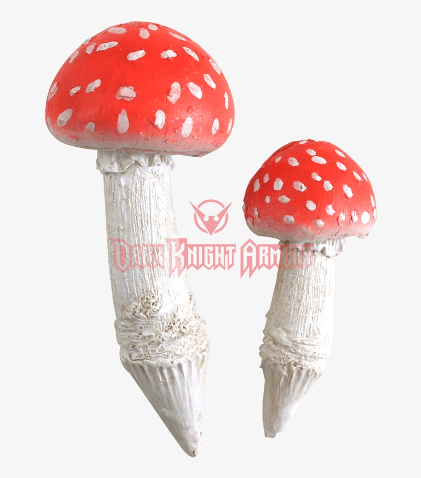 Brule La Gomme Pas Ton Ame, transparent png download