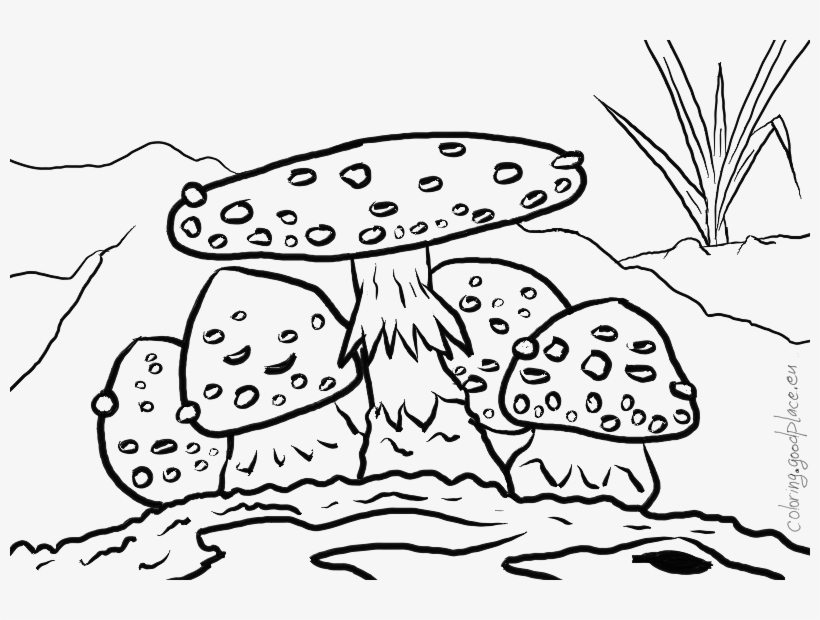 Toadstool - Illustration, transparent png download