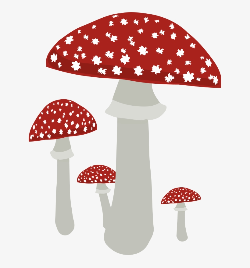 Mushroom Clipart Fungus - Clipart Mushrooms No Background, transparent png download