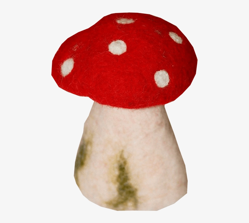 Toadstool Pictures - Medicinal Mushroom, transparent png download