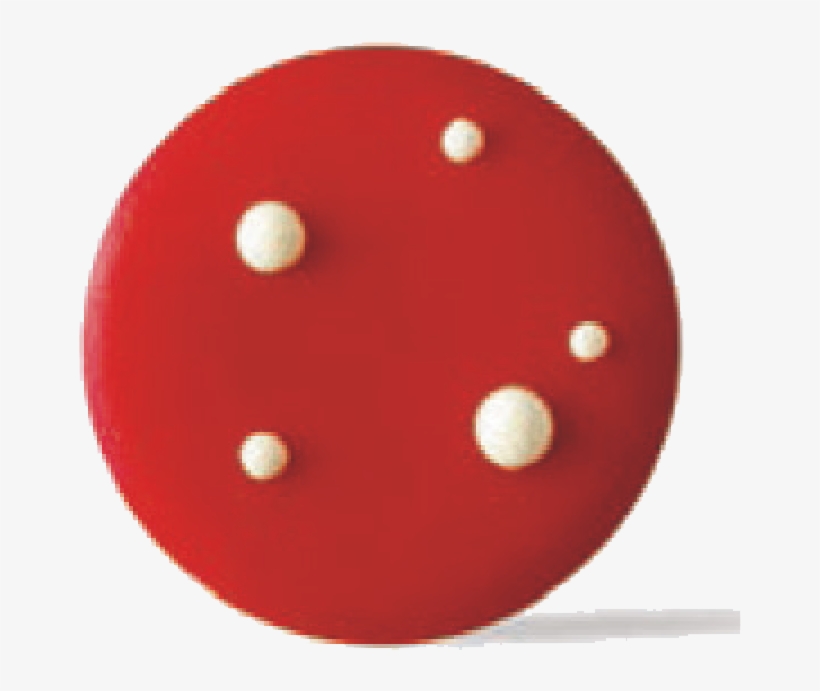 Toadstool - Circle, transparent png download